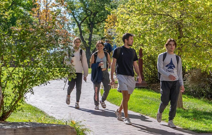 group of students walking along a tree-lined path on a sunny day